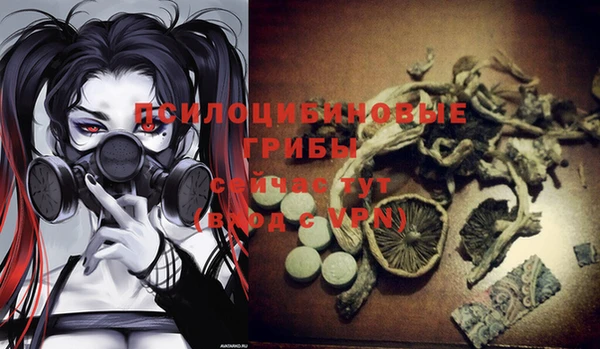 МДПВ Вяземский