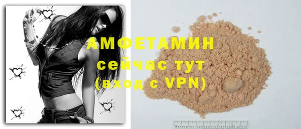 молекула духа Вязьма