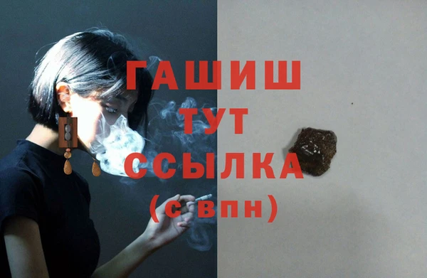 МДПВ Вяземский