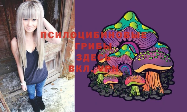 молекула духа Вязьма