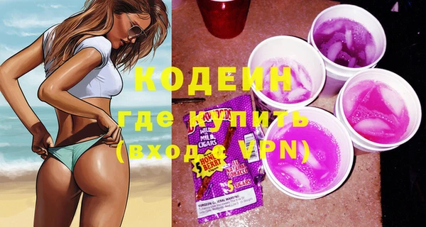 МДПВ Вяземский