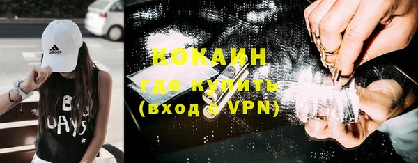 молекула духа Вязьма
