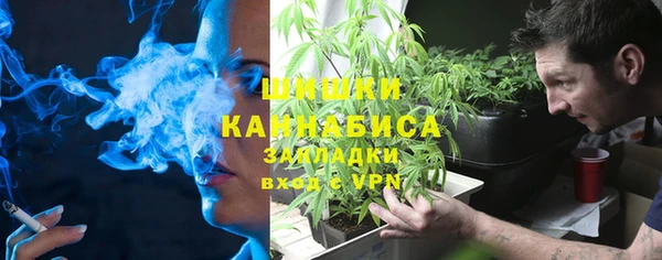 МДПВ Вяземский