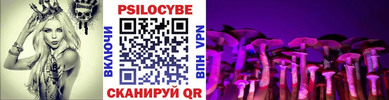Псилоцибиновые грибы MAGIC MUSHROOMS  Купить закладки  Ковылкино 